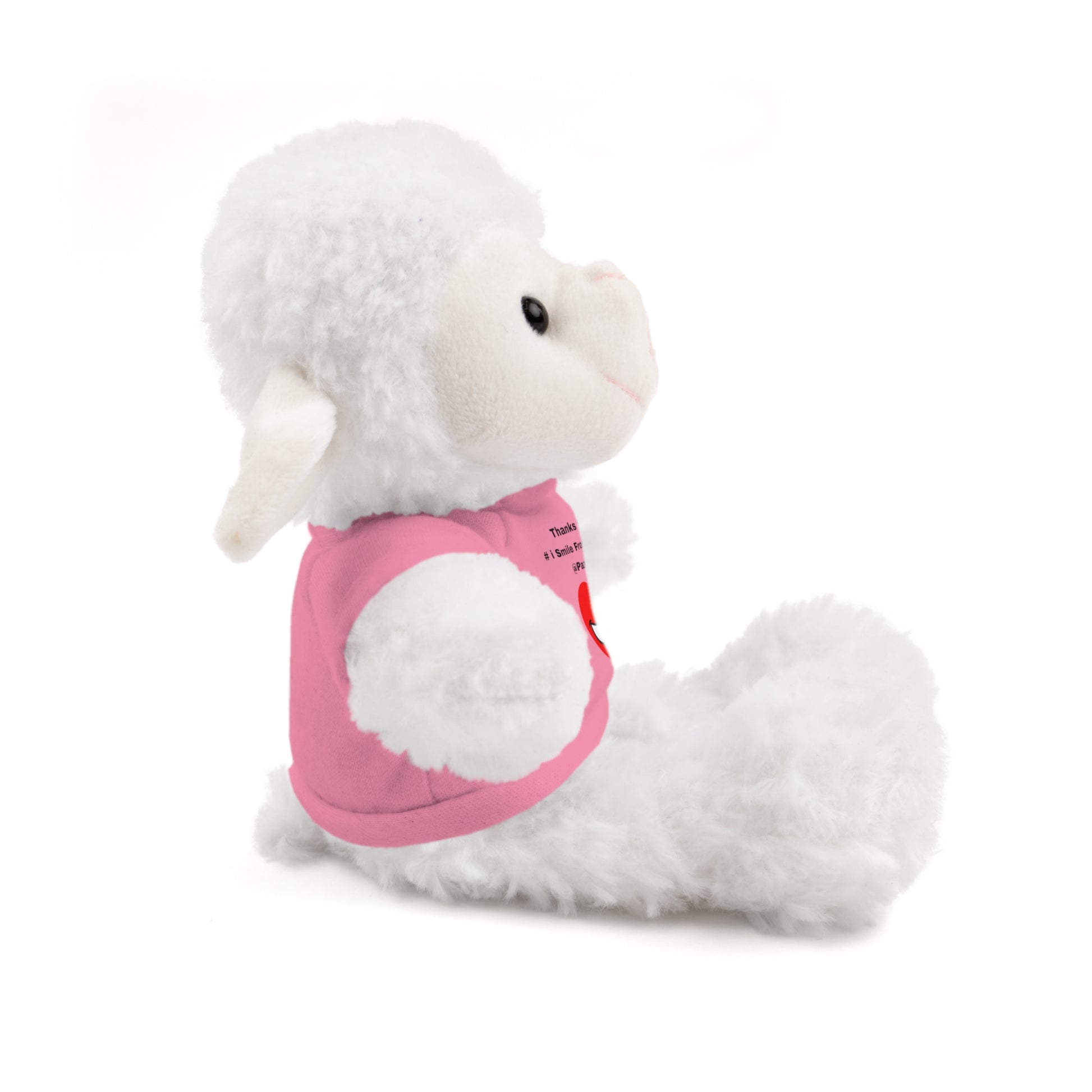 Stuffed Animals with Tee | Extend Total *Kindness with "Paz FAST, The Love Solution" - The Love Solution