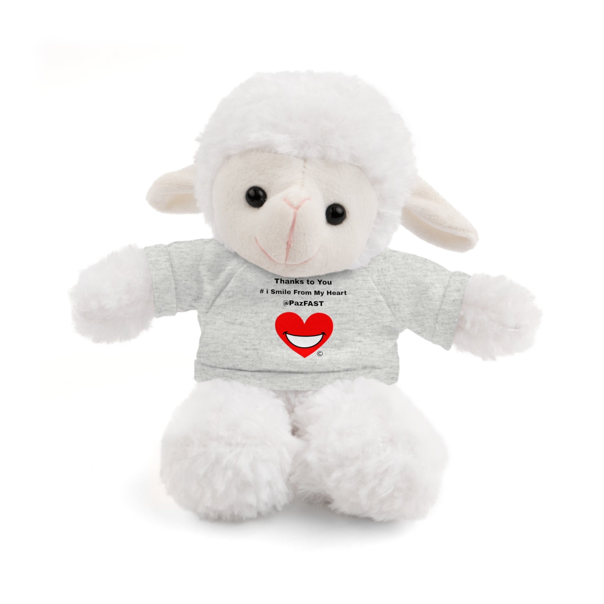 Stuffed Animals with Tee | Extend Total *Kindness with "Paz FAST, The Love Solution" - The Love Solution