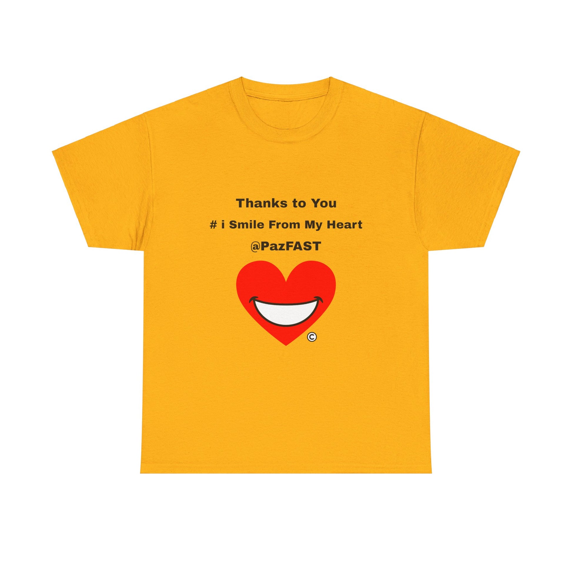 Unisex Heavy Cotton Tee - The Love Solution