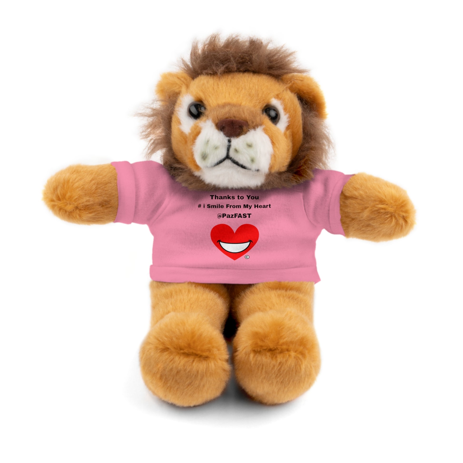 Stuffed Animals with Tee | Extend Total *Kindness with "Paz FAST, The Love Solution" - The Love Solution