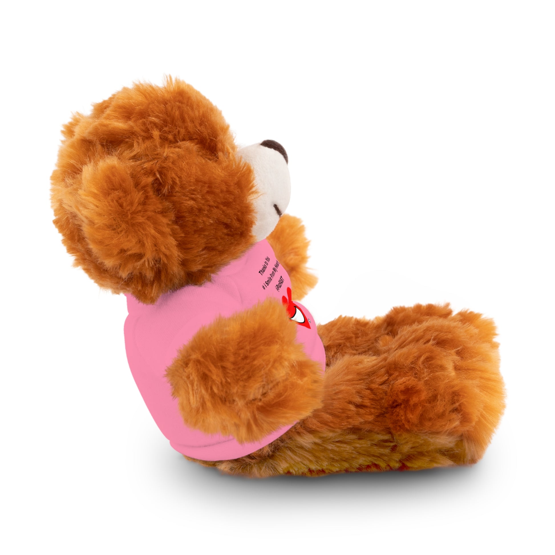 Stuffed Animals with Tee | Extend Total *Kindness with "Paz FAST, The Love Solution" - The Love Solution