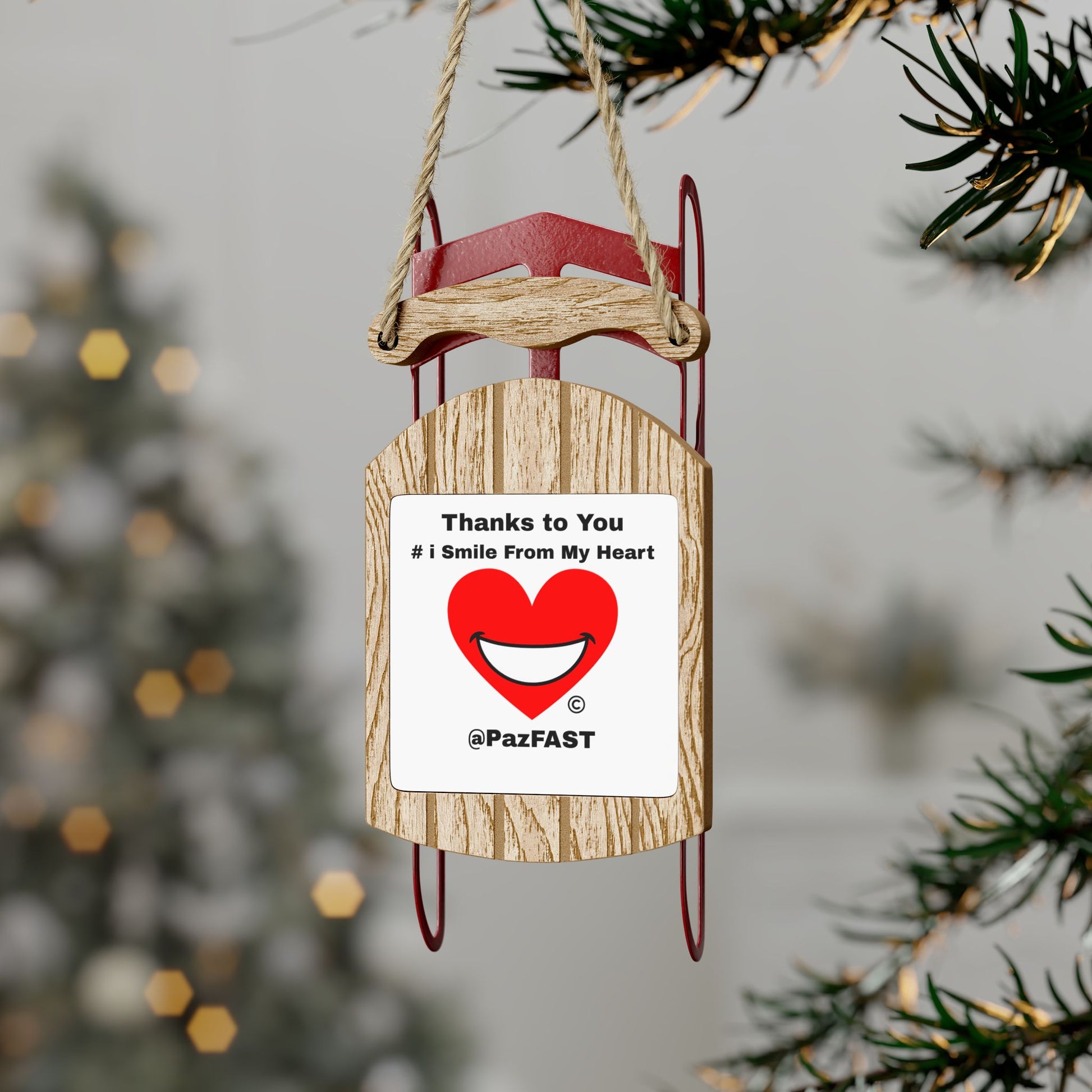 Sled Ornaments | Extend Total *Kindness with "Paz FAST, The Love Solution" - The Love Solution