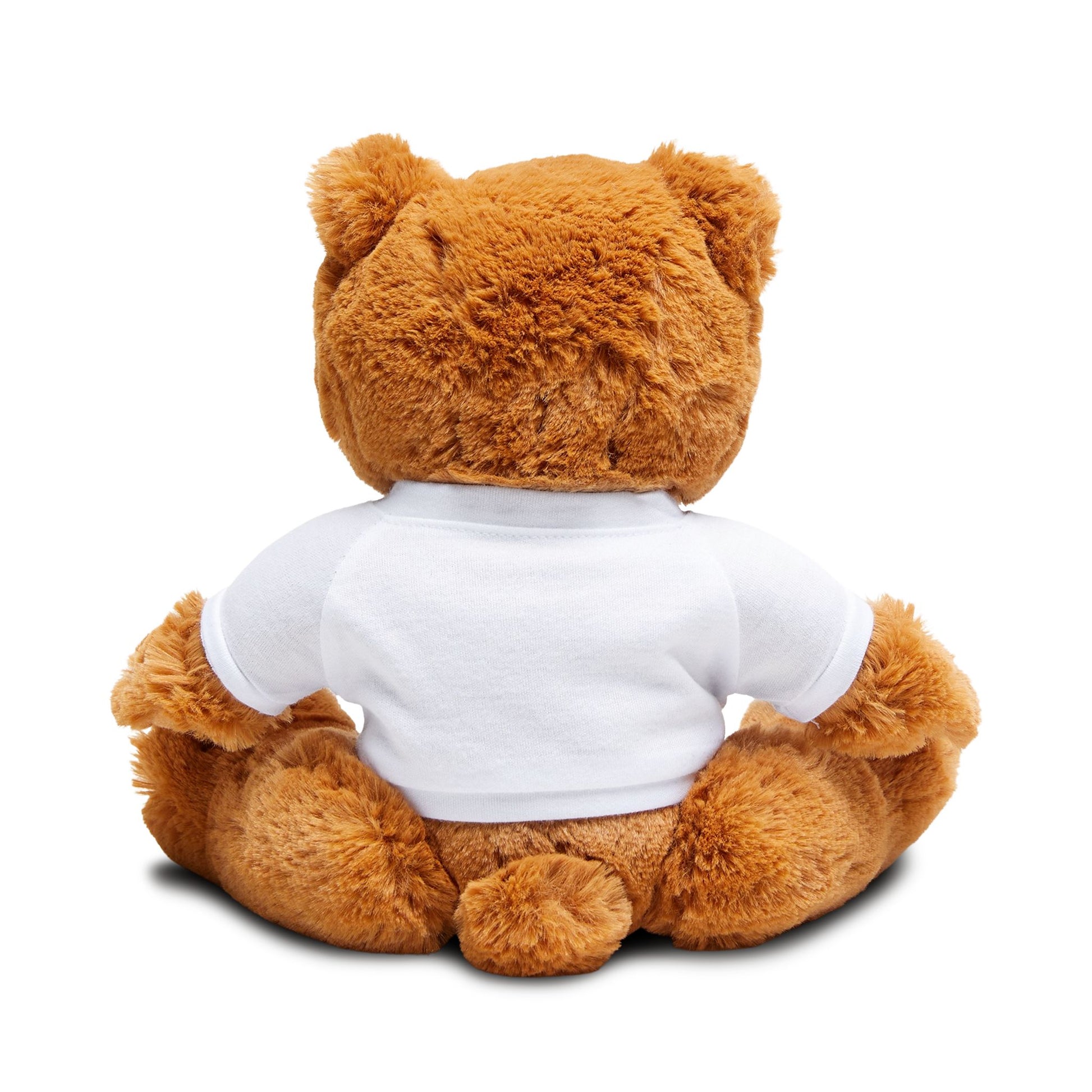 Teddy Bear with T-Shirt | Extend Total *Kindness with "Paz FAST, The Love Solution" - The Love Solution