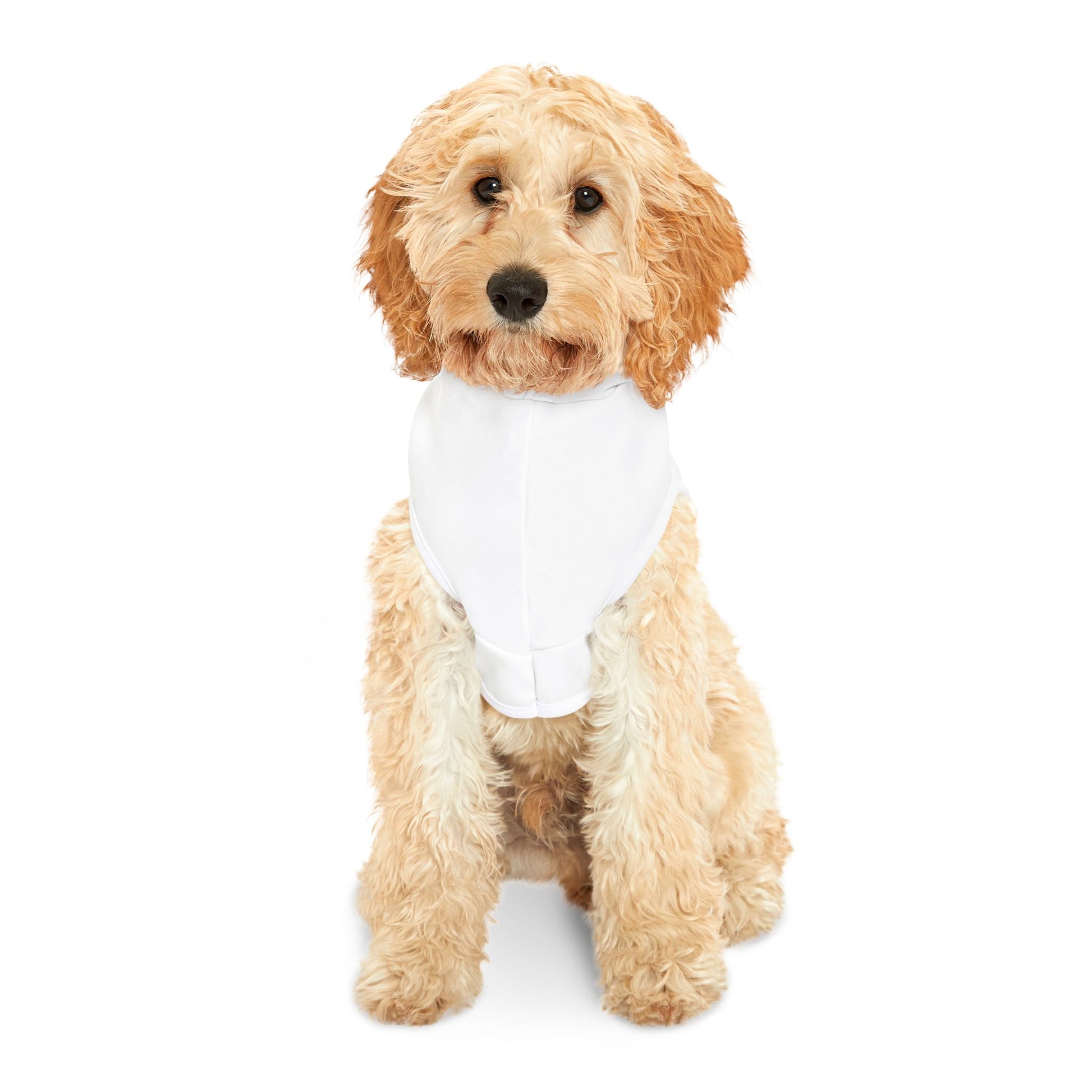 Pet Hoodie | Extend Total *Kindness with "Paz FAST, The Love Solution" - The Love Solution